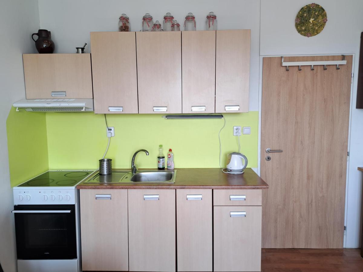 Apartman V Podhuri Krusnych Hor Sokolov Exterior photo